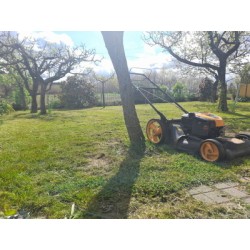 Mantenimientos Jardineria