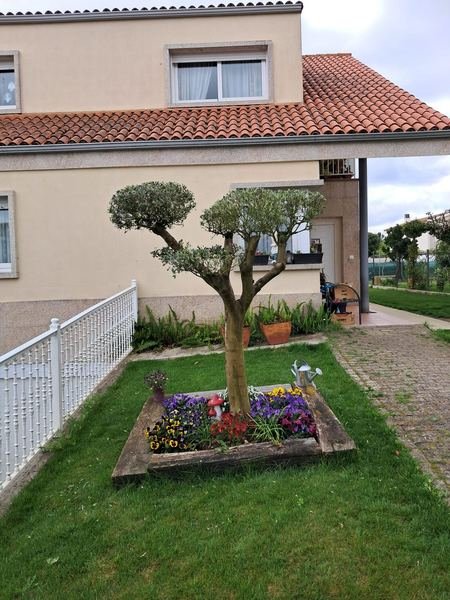 Poda ornamental y parterre de flores